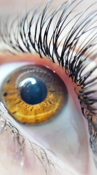 Ögonfransförlängning Skönhetssalong Makro Ögon Kim Effekt — Stockfoto