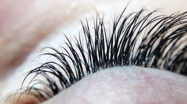 Eyelash Extensions Beauty Salon Macro Eye Kim Effect — Stok fotoğraf