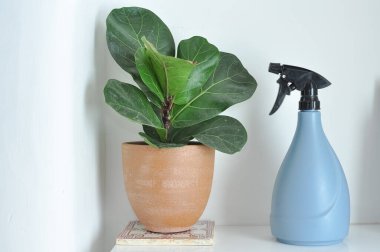 Pencereleri ve yüzeyleri temizlemek için mavi bir sprey ve bir bez, toz silmek için ekipman.