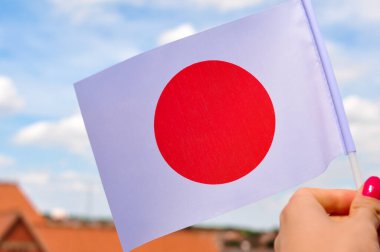 the national white flag with red circle of Japan in hand close up.