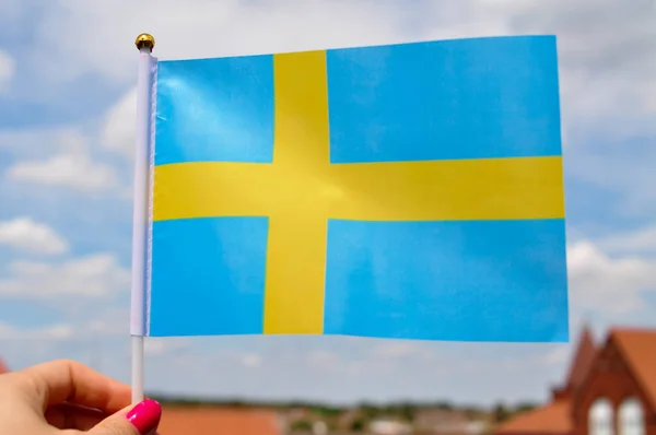 National Blue Yellow Flag Sweden Close — Stockfoto