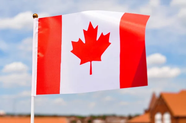 the national flag of Canada red maple leaf red and white colors close up.
