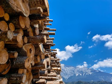 storage of wooden round tree cut for building and firewood, log house . High quality photo