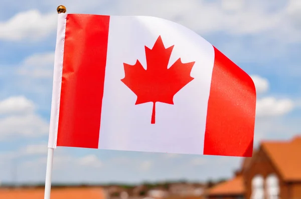 the national flag of Canada red maple leaf red and white colors close up.