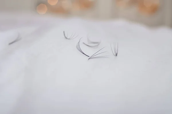 Bunches of fake lashes fell down after eyelash extensions, beauty salon problems. High quality photo