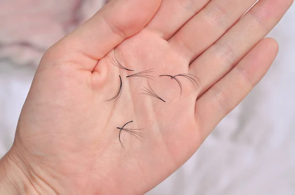 Bunches Fake Lashes Fell Eyelash Extensions Beauty Salon Problems High —  Fotos de Stock