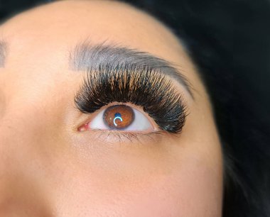 Close up of hazel eye with eyelash Extensions Russian Volume . High quality photo