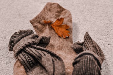 Close up of brown cotton socks autumn cozy clothing.