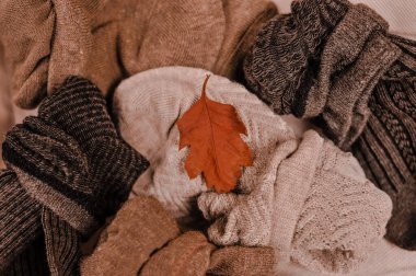 Close up of brown cotton socks autumn cozy clothing.