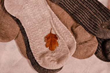 Close up of brown cotton socks autumn cozy clothing.