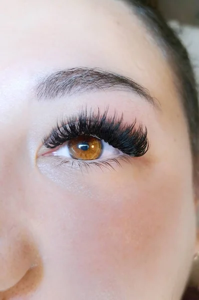Close up of hazel eye with eyelash Extensions in beauty salon . High quality photo