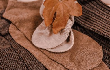 Close up of brown cotton socks autumn cozy clothing.