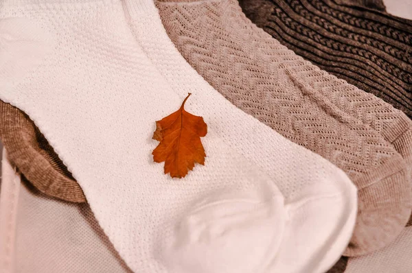 Close Brown Cotton Socks Autumn Cozy Clothing — Φωτογραφία Αρχείου