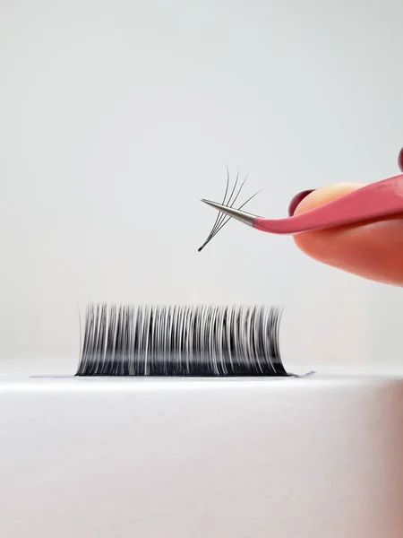 Close up of tweezer with bunch of fake lashes for eyelash Extensions .