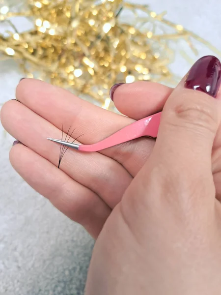 Close up of tweezer with bunch of fake lashes for eyelash Extensions .