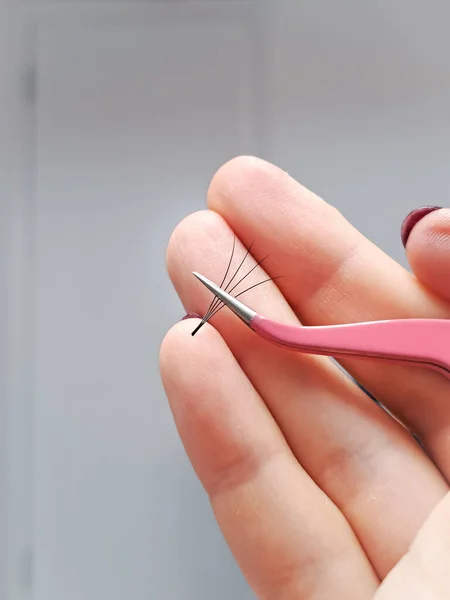 Close up of tweezer with bunch of fake lashes for eyelash Extensions .