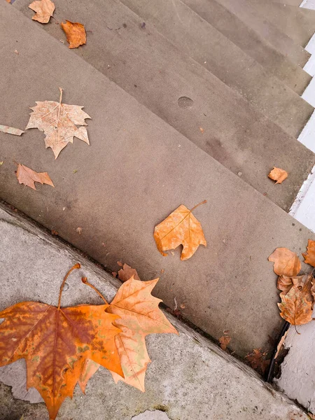 Laranja Folhas Outono Nas Ruas Londres Estação Outono Foto Alta — Fotografia de Stock