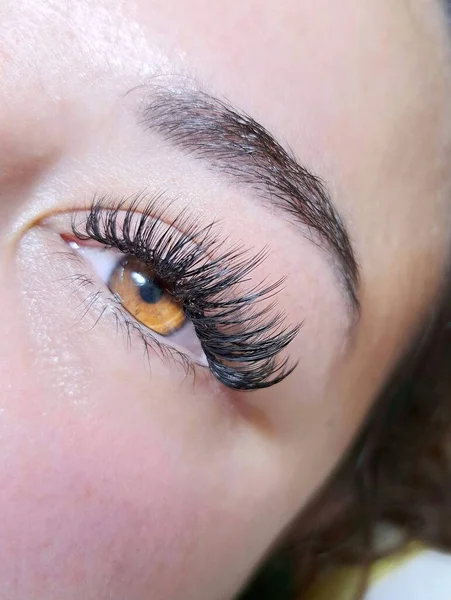 Close up of eyelash Extensions in beauty salon macro eye. High quality photo