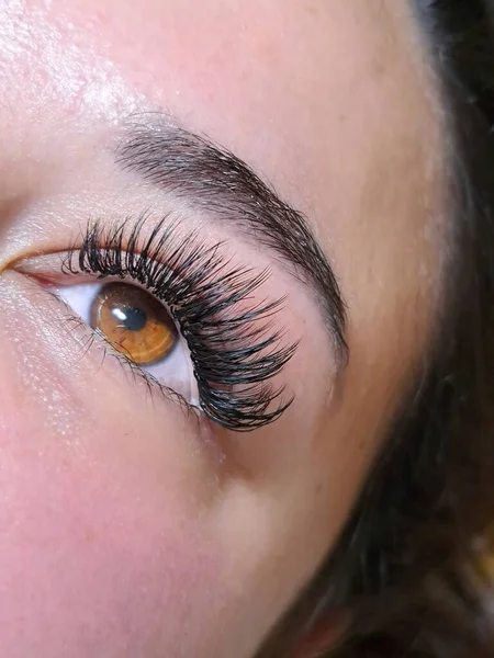 Close Eyelash Extensions Beauty Salon Macro Eye High Quality Photo — Stock Photo, Image