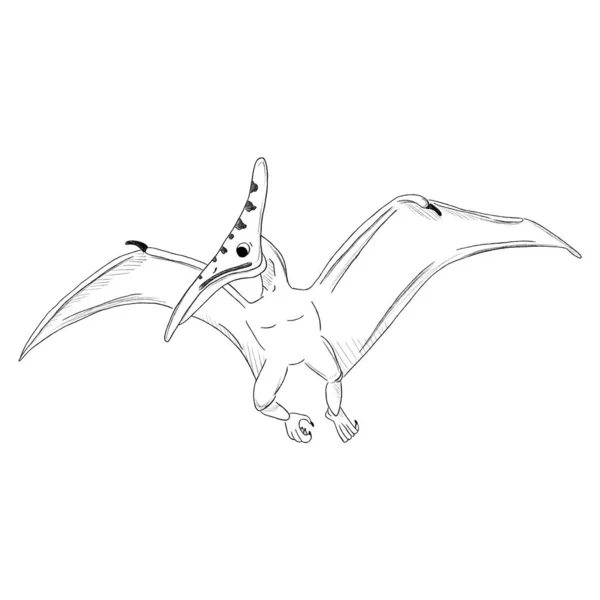 Graphic Black White Dinosaur Sketch Hand Drawn Dinosaurus Isolated White — Stock Fotó