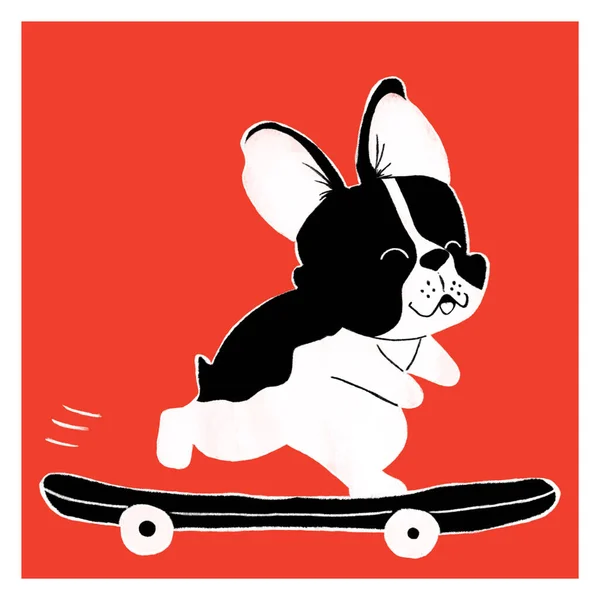 Roztomilý Boston Teriér Ilustrace Ideální Pro Lidi Kteří Milují Psa — Stock fotografie