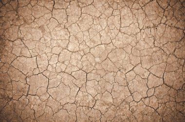 Cracked dirt background