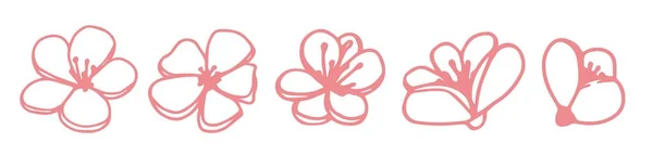 Conjunto de vetores silhuetas de cinco flores de magnólia rosa desenhadas à mão isoladas em fundo branco. Ilustração vetorial. Flores primavera doodle, ilustrações — Vetor de Stock