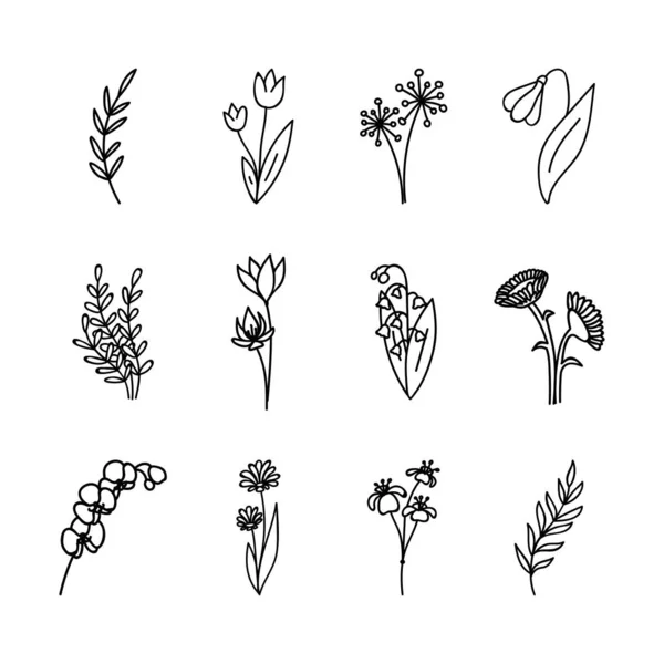 두 들스 허브 (Doodle Herbs) 와 꽃들, 손으로 그린 꽃들, 들꽃 과 잎들의 꽃들, 흰색 위에 분리 된 벡터 물체들, — 스톡 벡터