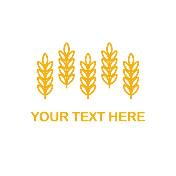Búza fül ikon vektor farm logó sablon. Vonal teljes kiőrlésű gabona szimbólum illusztráció ökológiai pékség üzleti, mezőgazdaság, sör fehér — Stock Vector