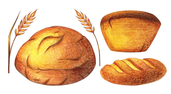 Suluboya Ekmek seti çizimi. Farklı bir tür ekmek. Günlük taze organik hamur işleri ürünleri, ekmek, baget, iğne, kulak, buğday. Bağbozumu, izole edilmiş. Menü, poster, afiş için — Stok fotoğraf