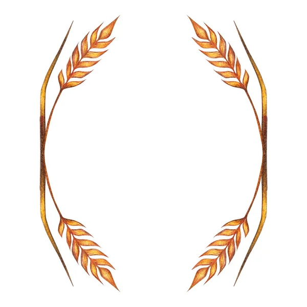 Watercolor ears of wheat frame border illustration isolated on white background. Template for decorating illustrations. — Stockfoto