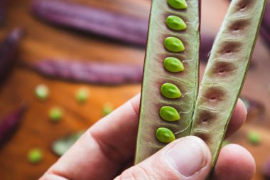 Meksika, Oaxaca 'da Guaje tohumu kabuğu açık duruyor.