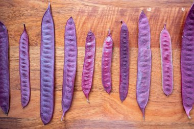 Mor Guaje tohum kapsülleri bir masanın üzerinde sıralanır..