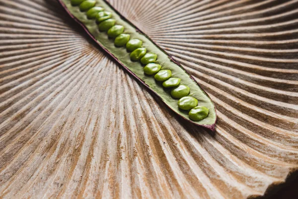 Meksika, Oaxaca 'da bir tabakta Guaje tohum kapsülünü aç..