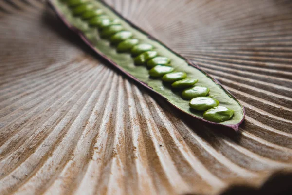 Meksika, Oaxaca 'da yakın plan Guaje tohumları..