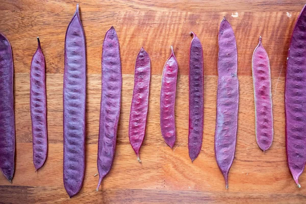 Mor Guaje tohum kapsülleri bir masanın üzerinde sıralanır..