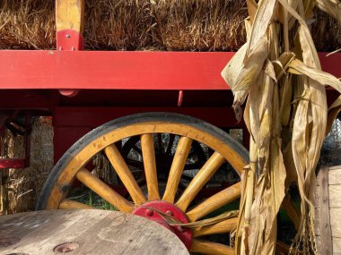 Yellow wagon wheel on a vintage cart with fall/autumn harvest season vibes.