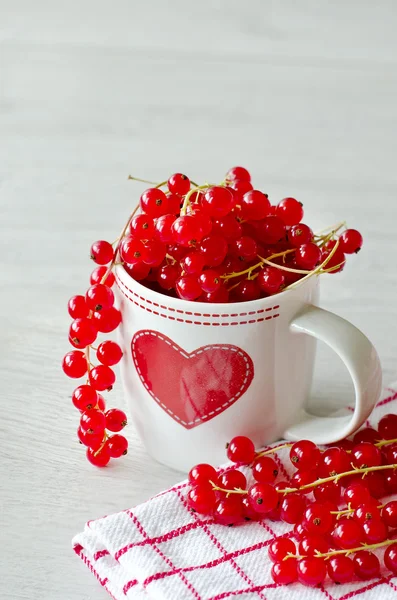 Red currant — Stock Photo, Image