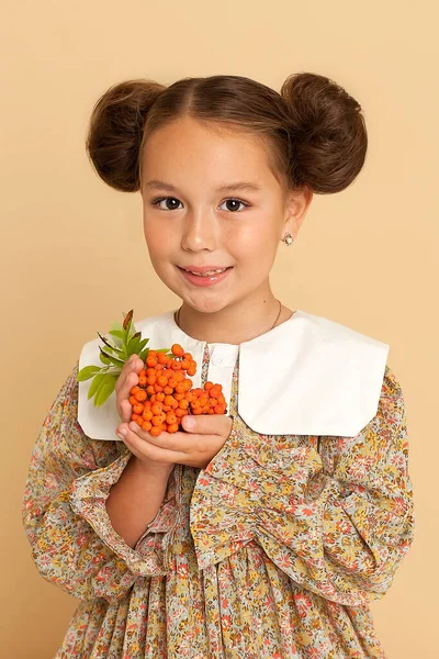 Estúdio Retrato Uma Menina Bonito Com Bagas Rowan Suas Mãos — Fotografia de Stock