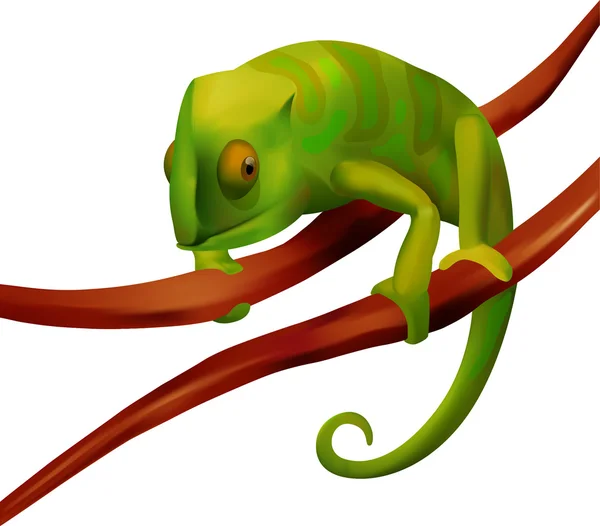 Bir dalda yeşil bukalemun