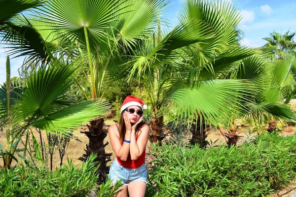 Noel Baba Şapkalı Yeşil Palmiyeli Kırmızı Tişörtlü Bir Kız Sıcak — Stok fotoğraf