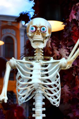 Plastik iskelet şeklinde Cadılar Bayramı süslemesi