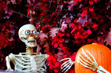 Plastik iskelet şeklinde Cadılar Bayramı süslemesi