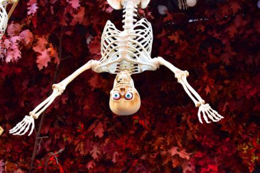 Plastik iskelet şeklinde Cadılar Bayramı süslemesi