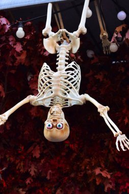 Plastik iskelet şeklinde Cadılar Bayramı süslemesi