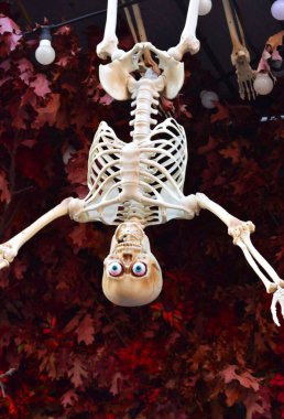 Plastik iskelet şeklinde Cadılar Bayramı süslemesi
