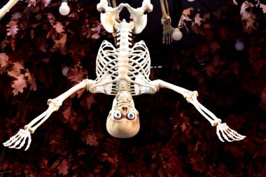 Plastik iskelet şeklinde Cadılar Bayramı süslemesi