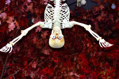 Plastik iskelet şeklinde Cadılar Bayramı süslemesi