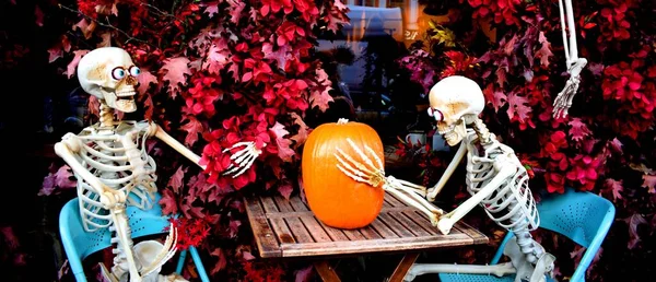 Plastik iskelet şeklinde Cadılar Bayramı süslemesi