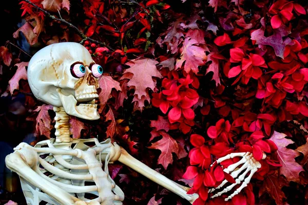 Хэллоуин Украшения Виде Пластикового Скелета — стоковое фото